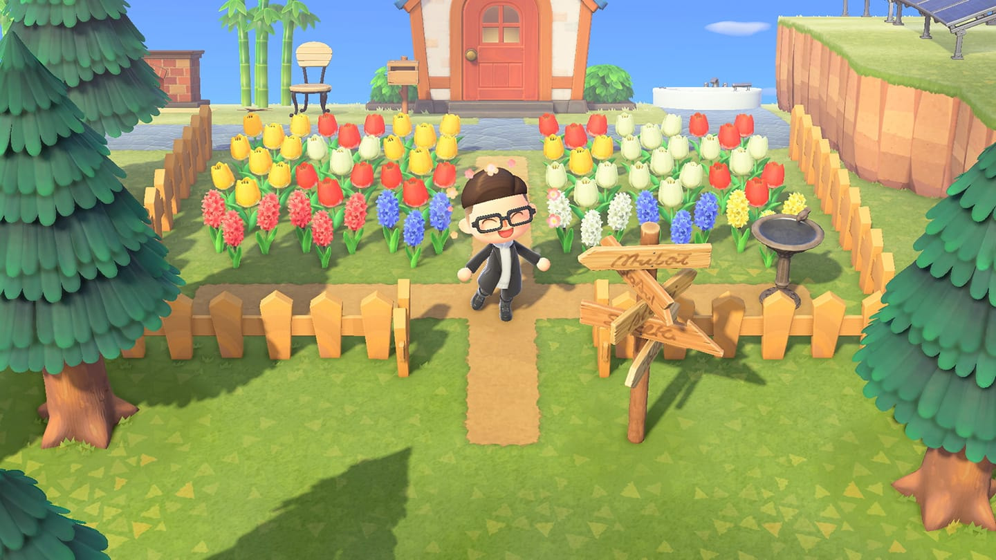 Explore your island — Animal Crossing™: New Horizons for the Nintendo