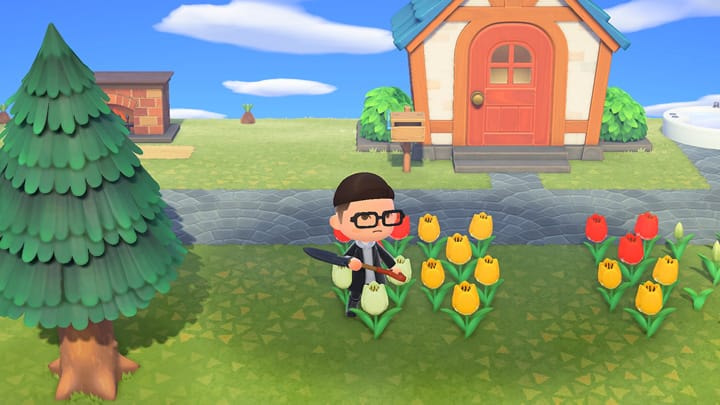 Le joueur arrose ses fleurs. Cliquer pour ouvrir la vidéo montrant une séquence de jeu dans une fenêtre contextuelle.