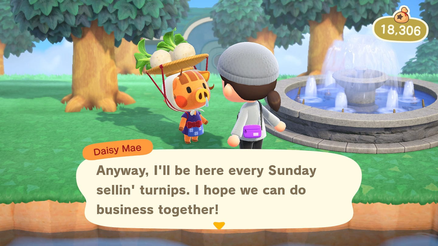 Partagez votre communauté — Animal Crossing™ New Horizons pour la console Nintendo Switch
